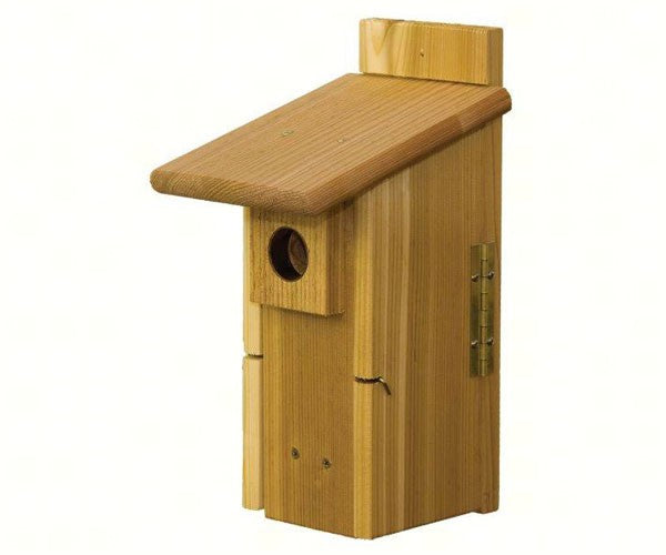 Ultimate Bluebird House with Viewing Window image 0