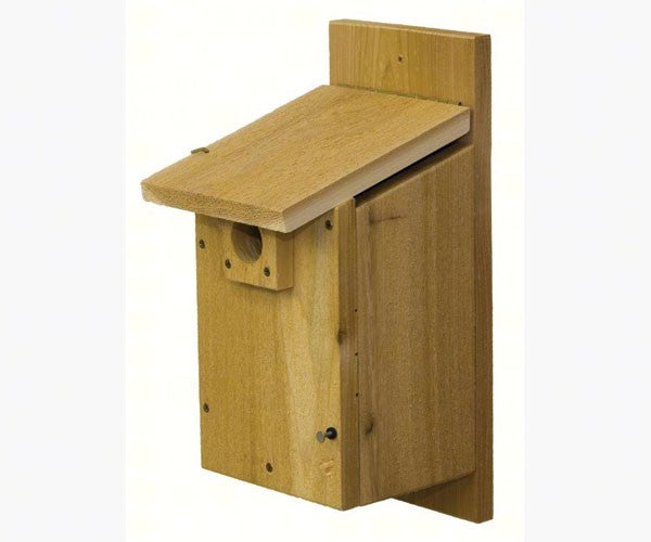 Mountain bluebird & Western Bluebird House image 0
