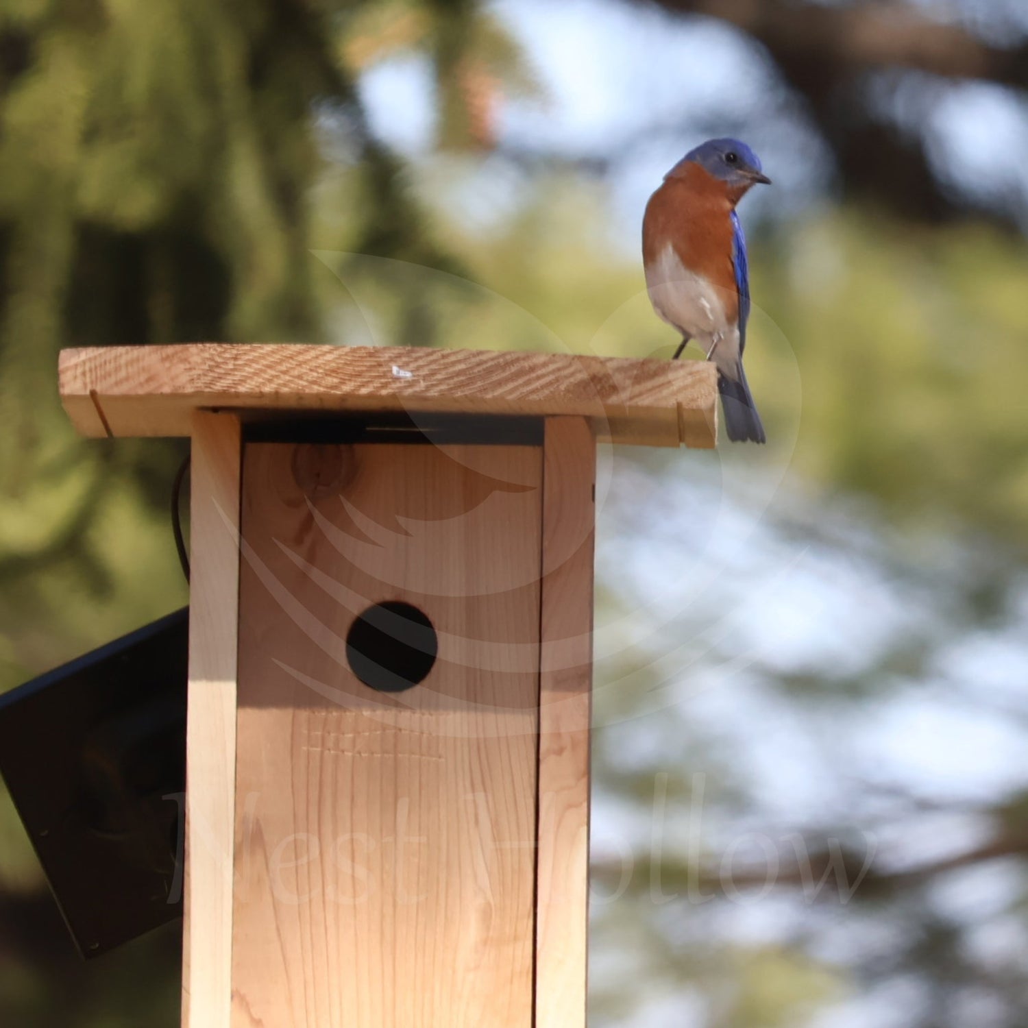 Bird Housing