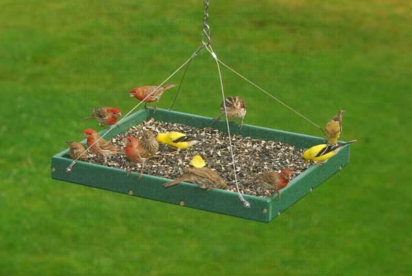 Large Hanging Platform Feeder image 0