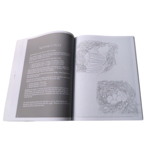 Hosting Bluebirds Guide and Coloring Book - Retail