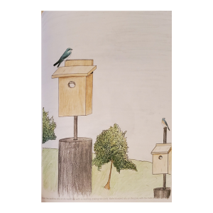 Hosting Bluebirds Guide and Coloring Book - Retail