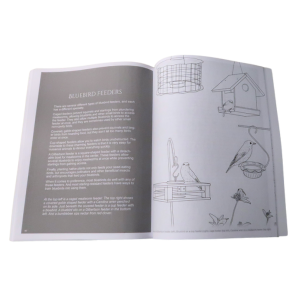 Hosting Bluebirds Guide and Coloring Book - Retail