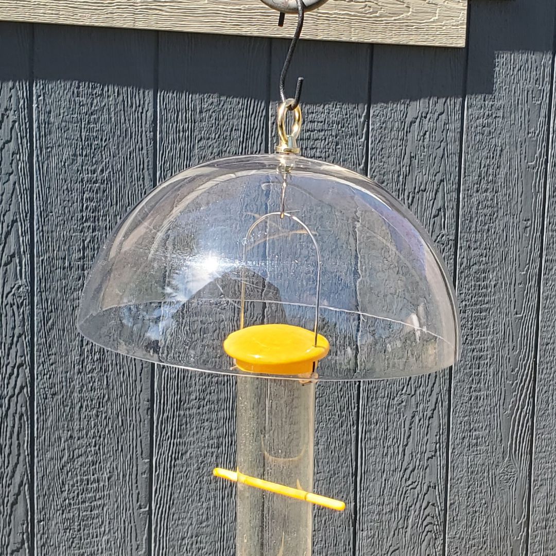 Goldfinch Feeding Bundle- Upside Down Feeder and Hanging Dome Baffle image 3