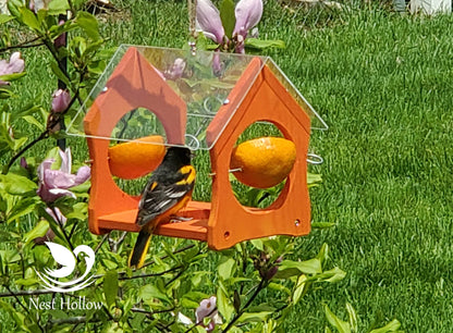 Oriole Feeder Cafe - Orange and Jelly Feeder Combo image 5