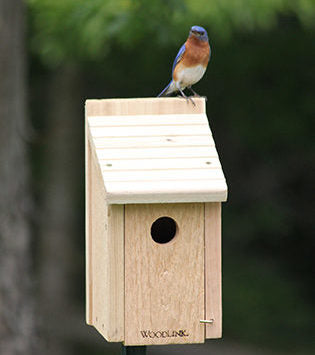 Bluebird Nest Box - Ultimate Starter Nest Box That Will Attract image 0