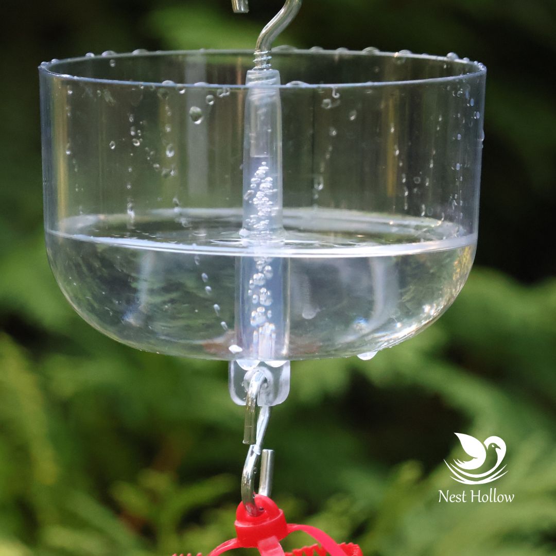Easy Swap Hummingbird Feeder (x2)+ Ant Moat (x1) Bundle image 4