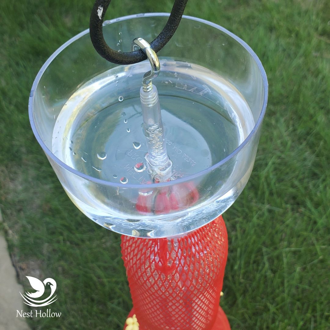 Easy Swap Hummingbird Feeder (x2)+ Ant Moat (x1) Bundle image 8