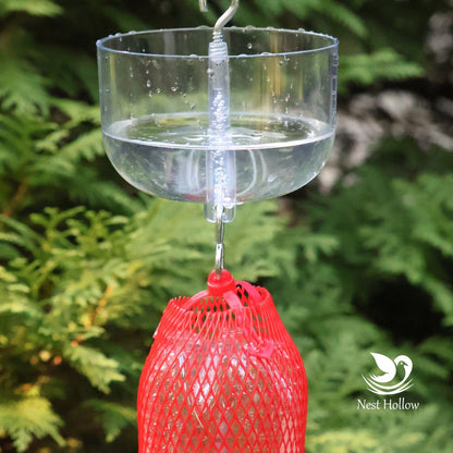 Easy Swap Hummingbird Feeder (x2)+ Ant Moat (x1) Bundle image 5