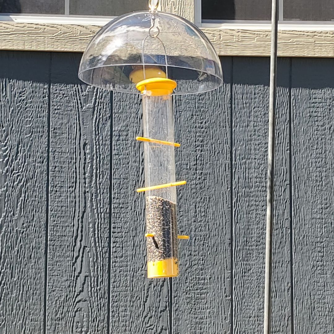 Goldfinch Feeding Bundle- Upside Down Feeder and Hanging Dome Baffle image 5