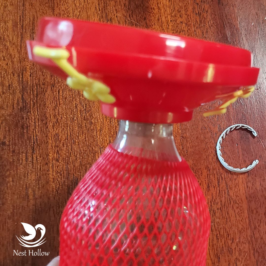 Easy Swap Hummingbird Feeder (x2)+ Ant Moat (x1) Bundle image 9